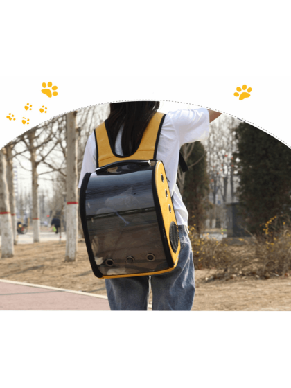 Glee  Τσάντα Μεταφοράς  Yellow Backpack  29χ23χ37cm